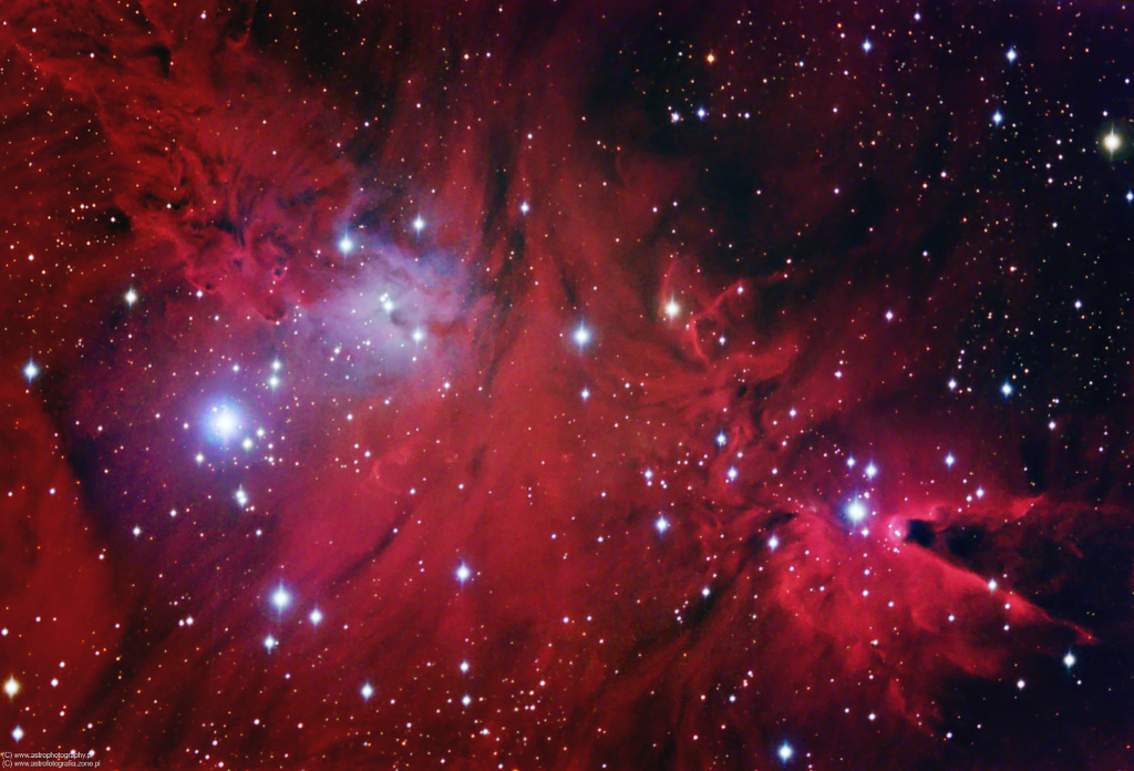 Cone Nebula