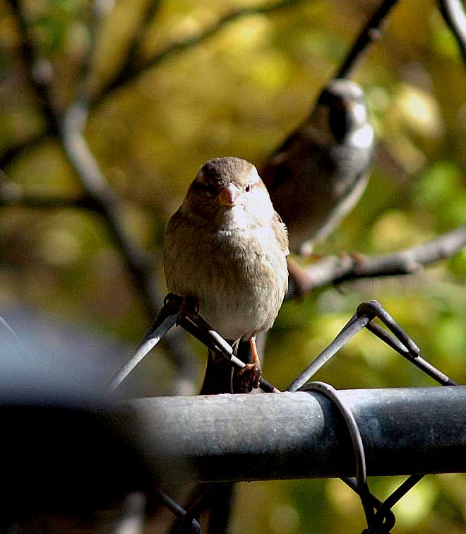 stop looking at me!
