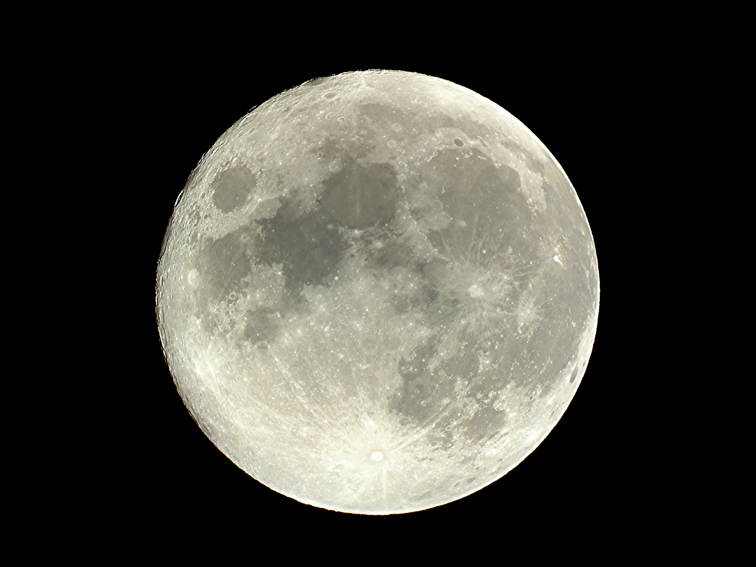 Harvest Moon 2004