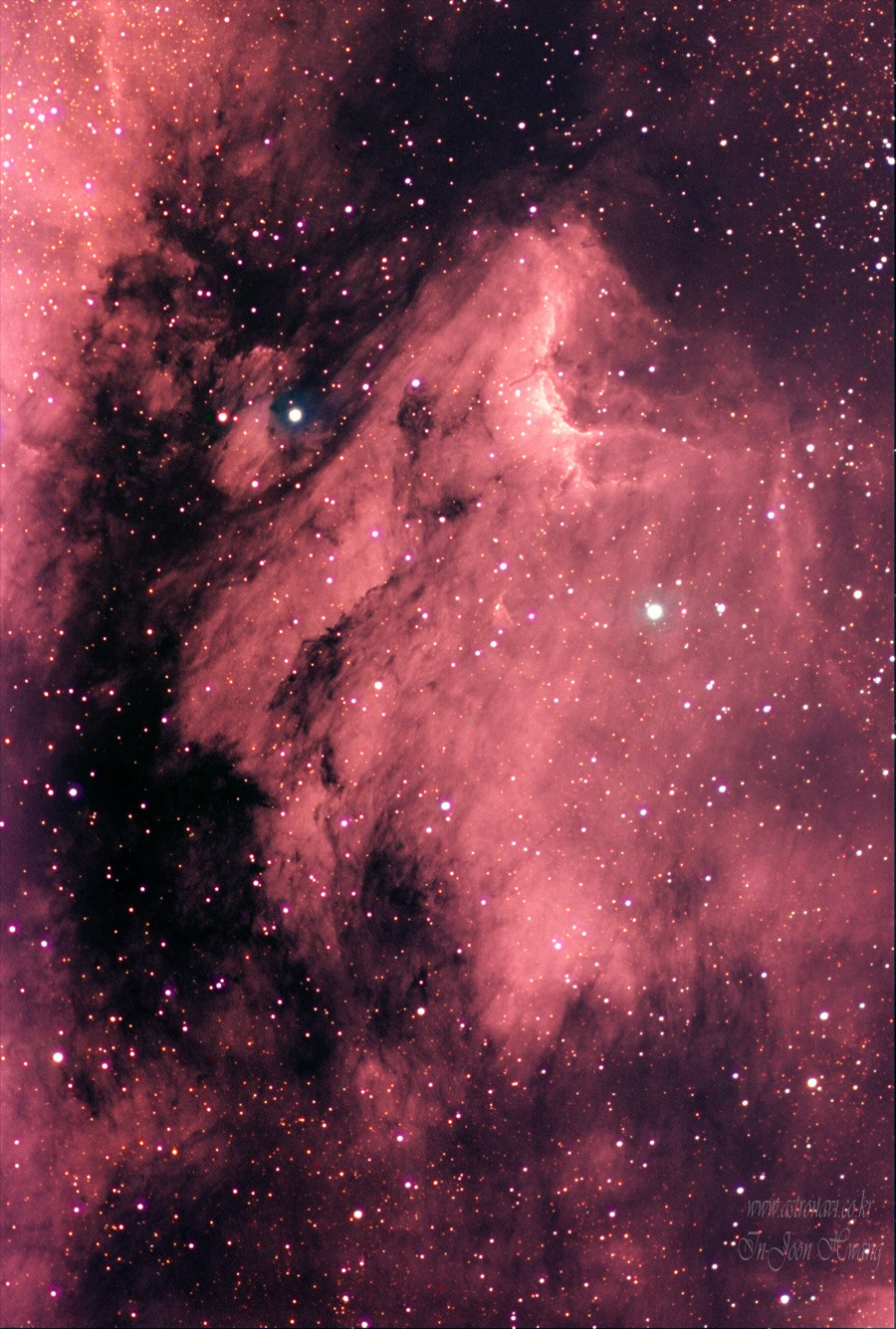 Pelican Nebula