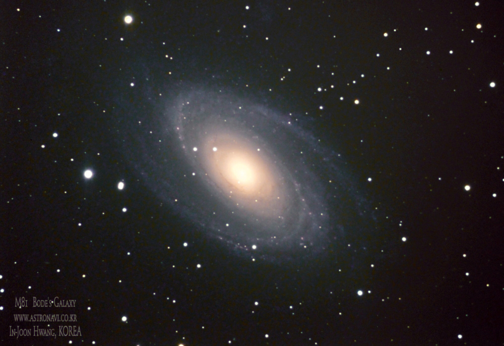 M81