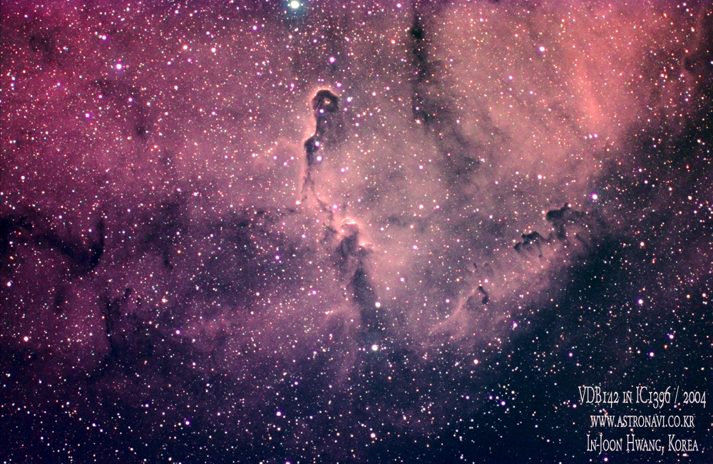 VDB 142 in IC 1396