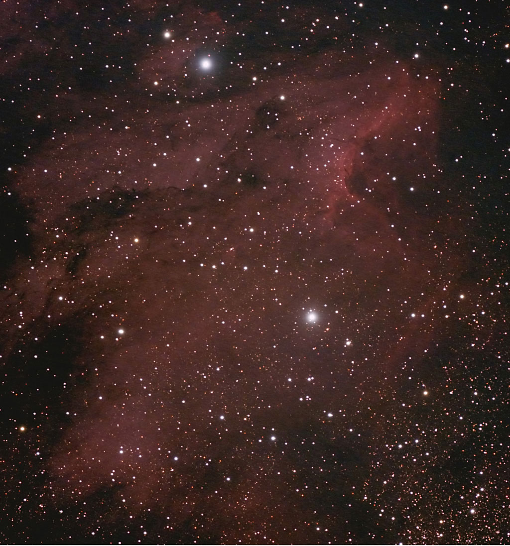 IC 5070-Pelican Nebula