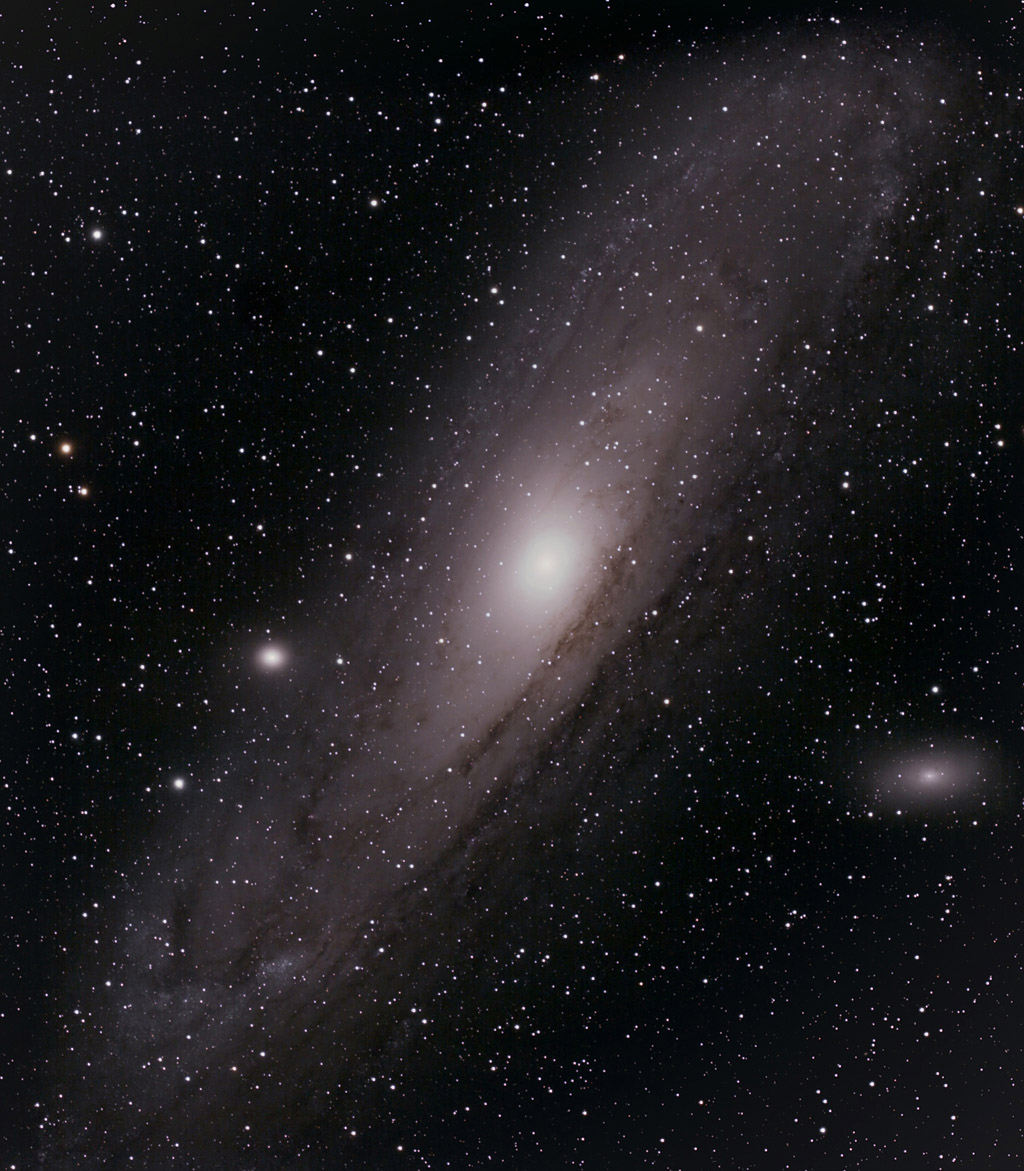 M31