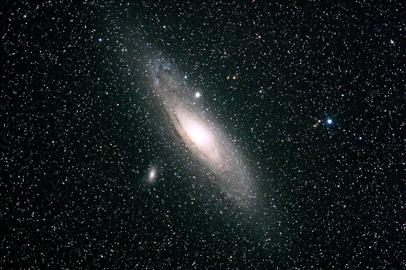 M31