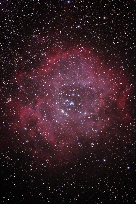 NGC2237 Rosette Nebula