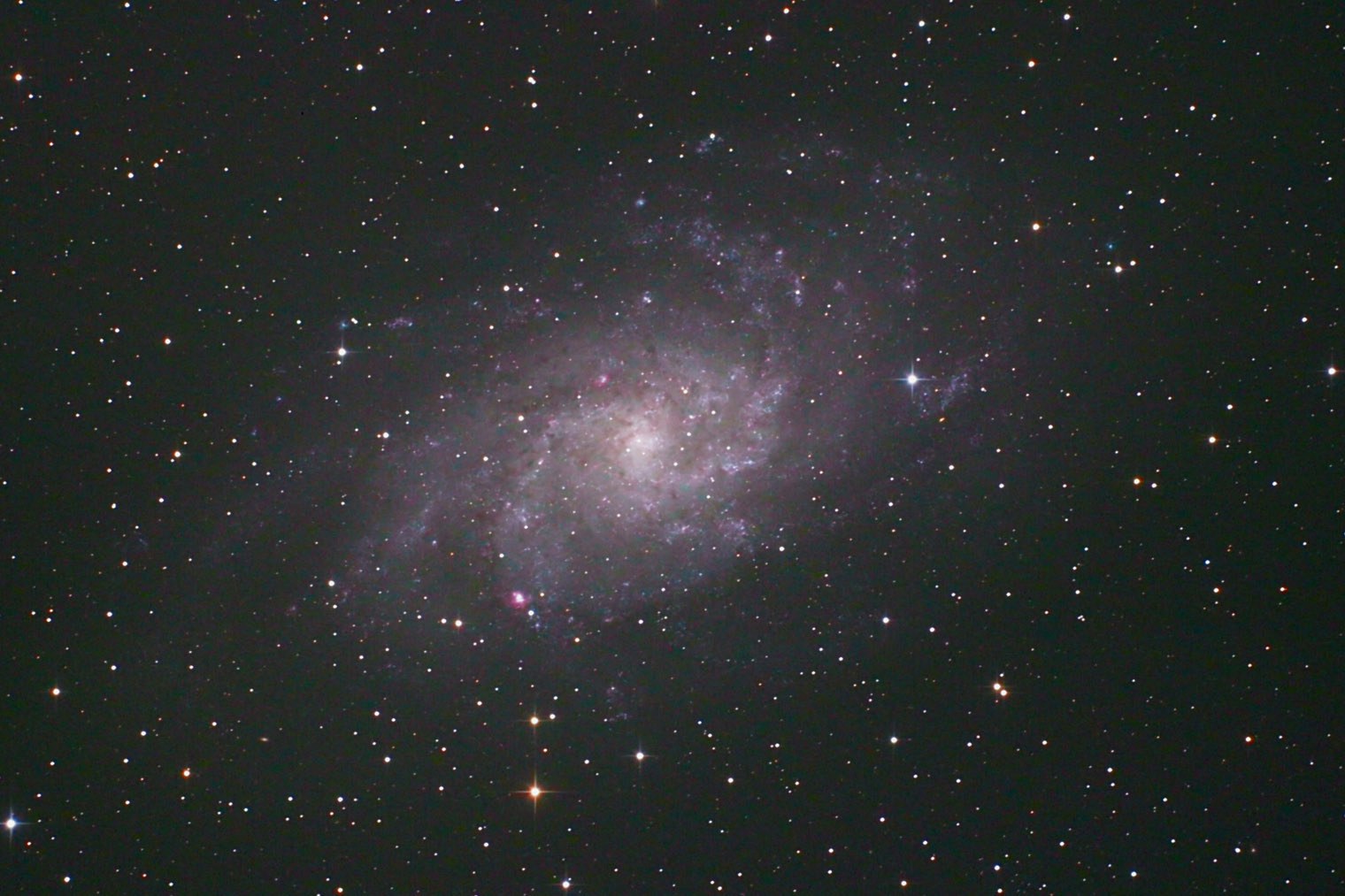M33