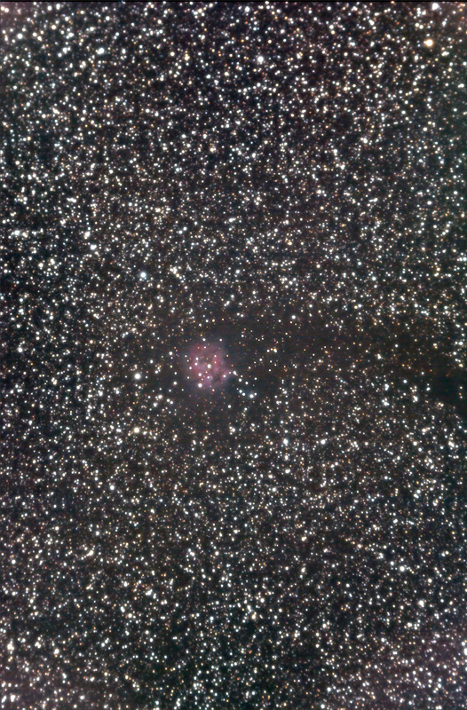 Cocoon Nebula