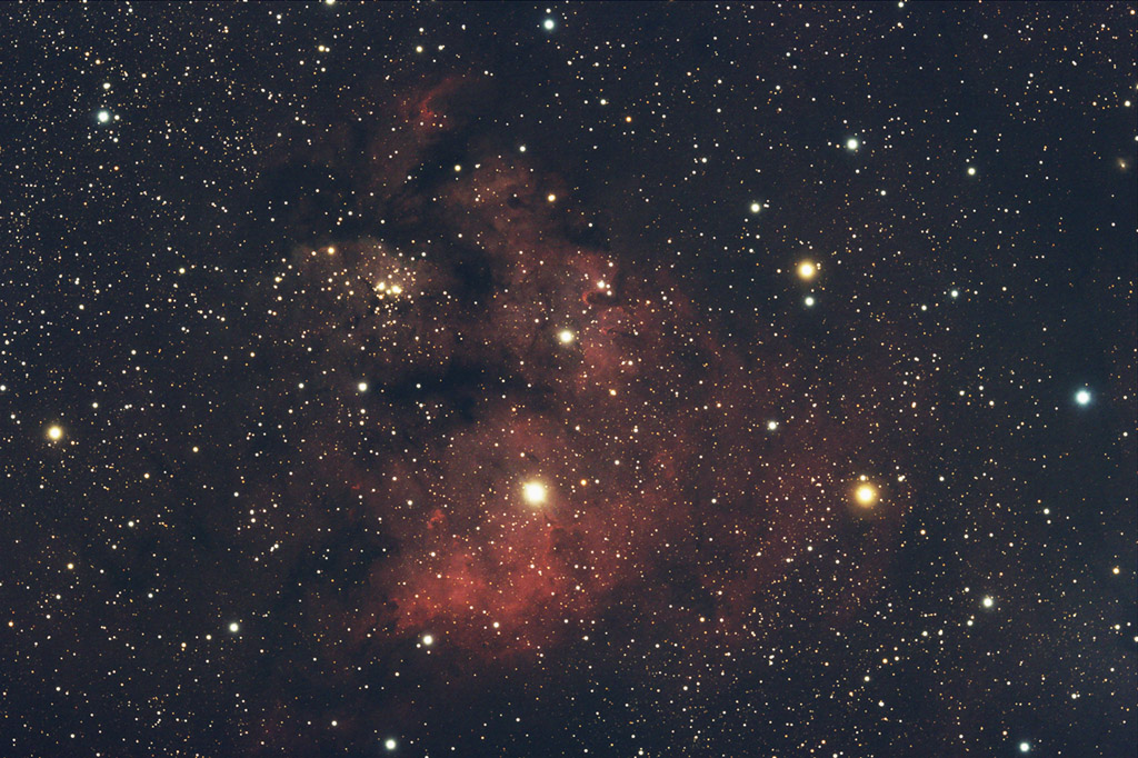 Cederblad 214
