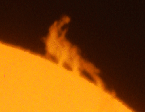 Bronto-Promisaurus