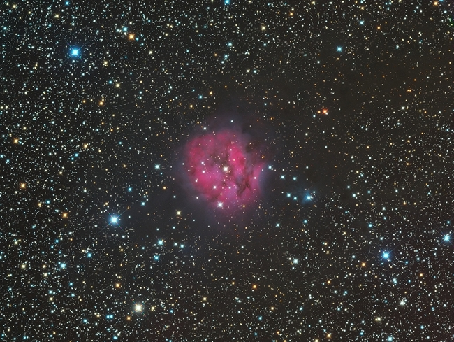 IC 5146
