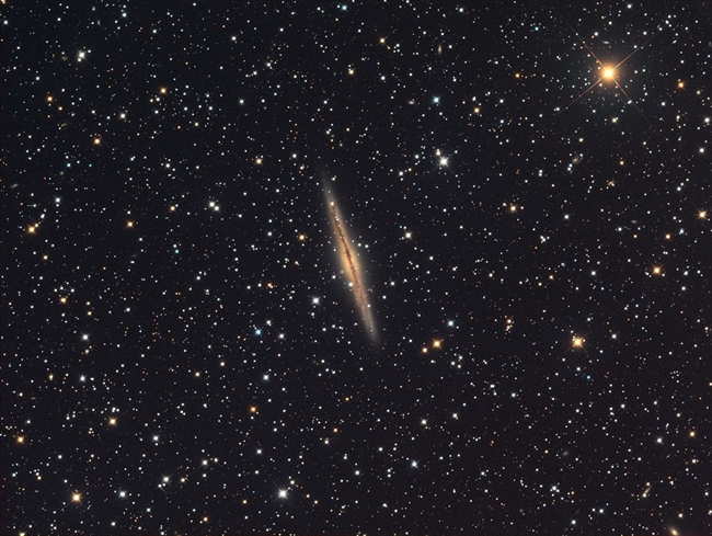 NGC 891