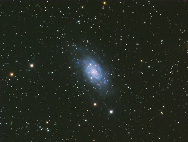 NGC 2403