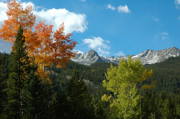 Colorado Autumn