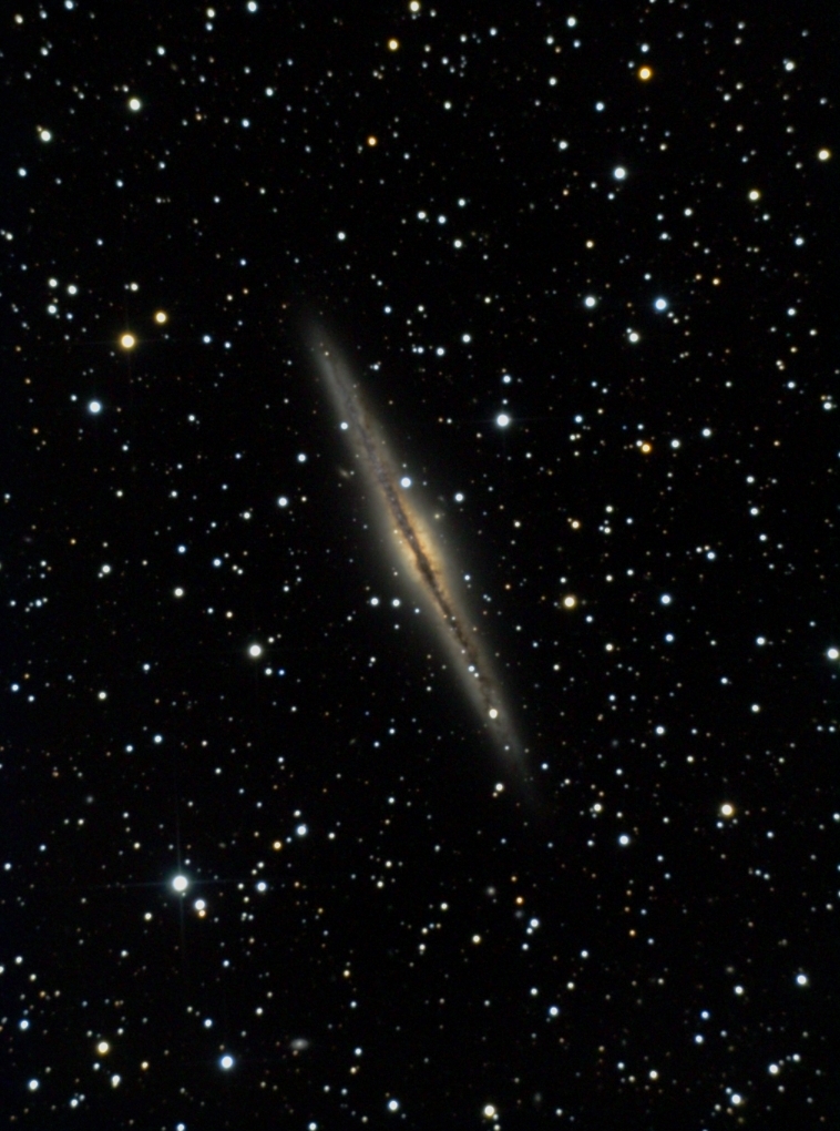 NGC891