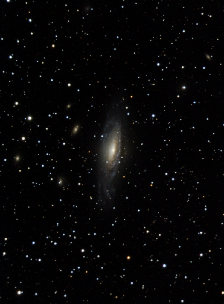 NGC7331