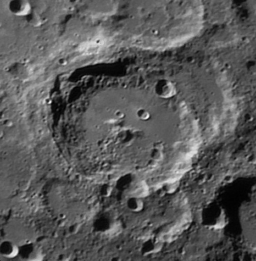 Maurolycus