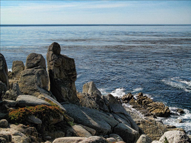California Coastline