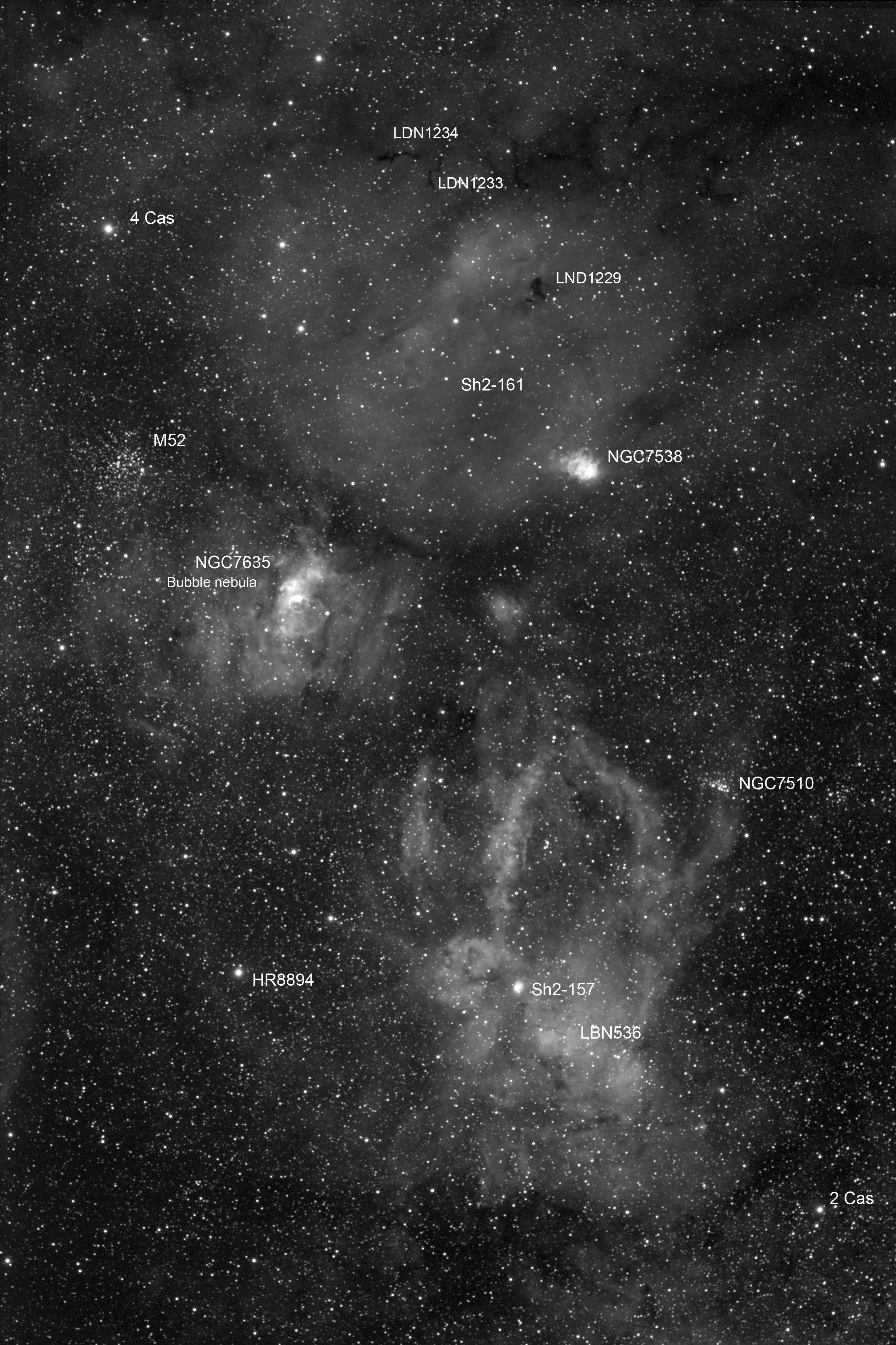 The Bubble Nebula and companions