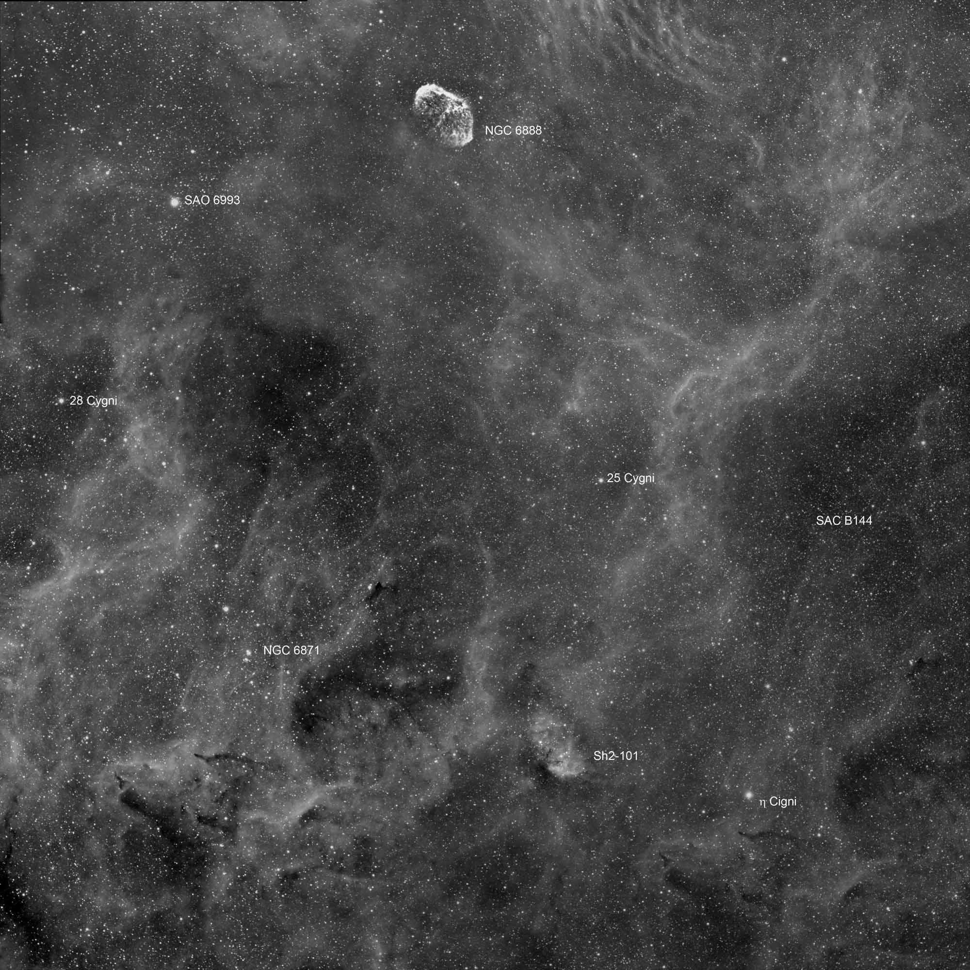Cygni Nebulosity