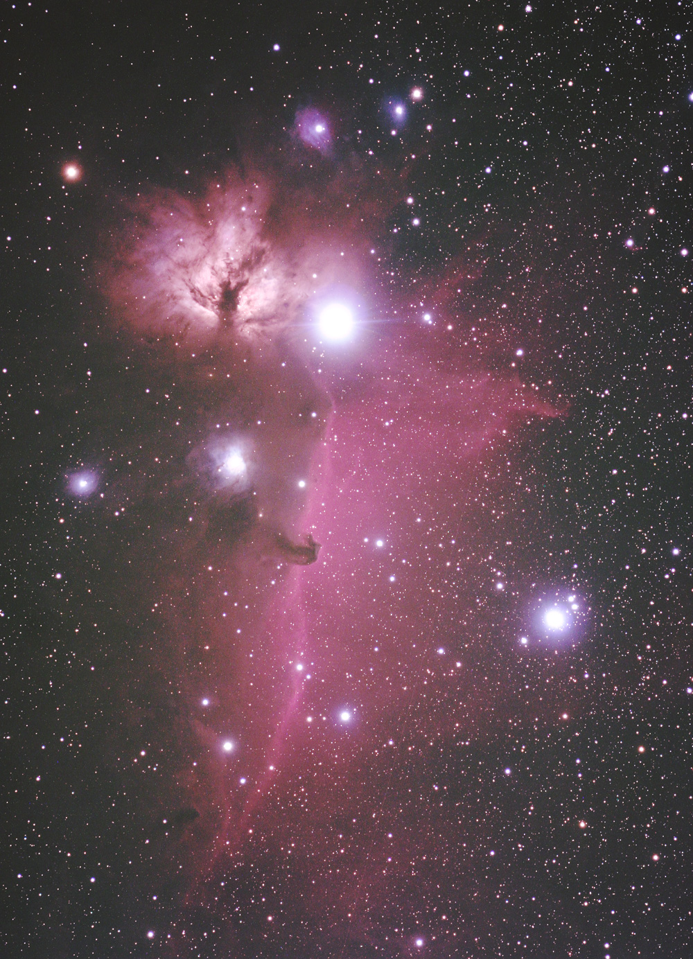 horsehead nebulas