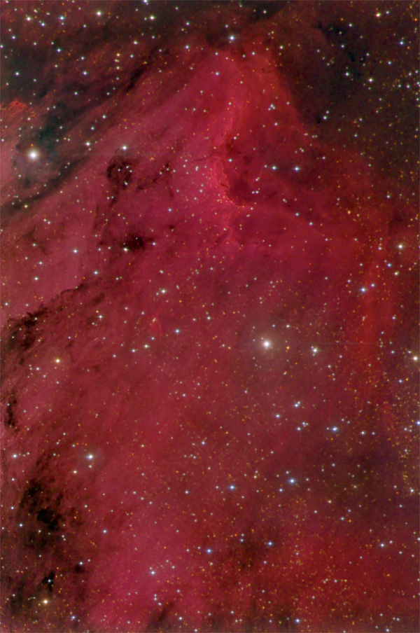 Pelican Nebula