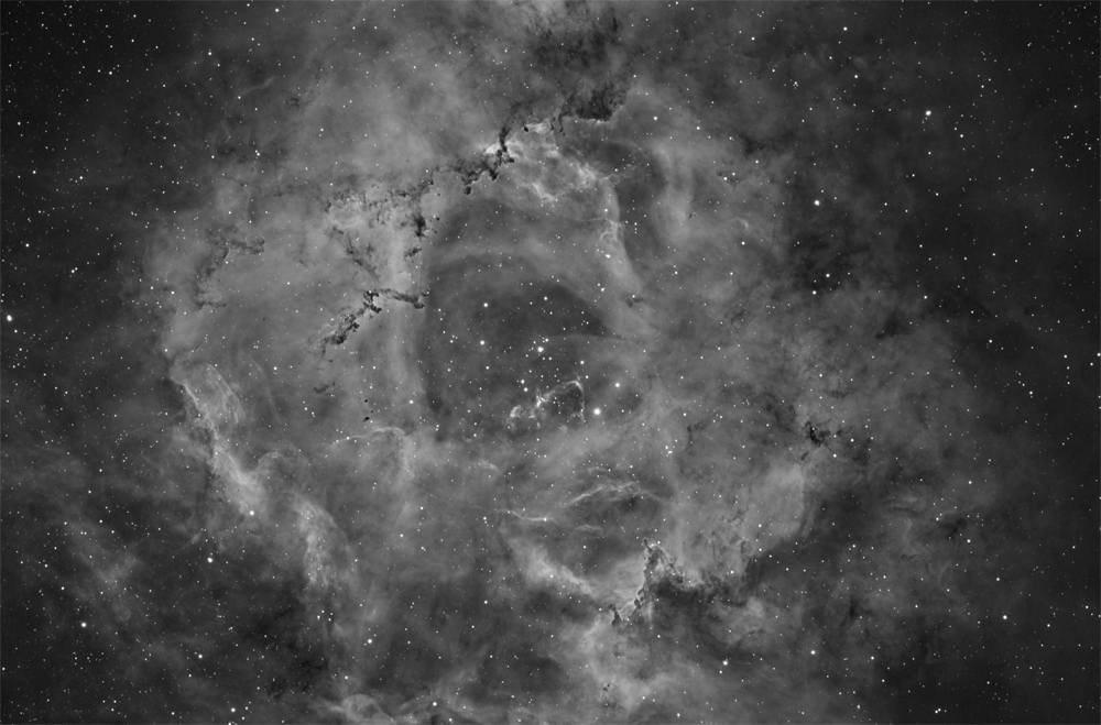 NGC2244 and Rosette Nebula