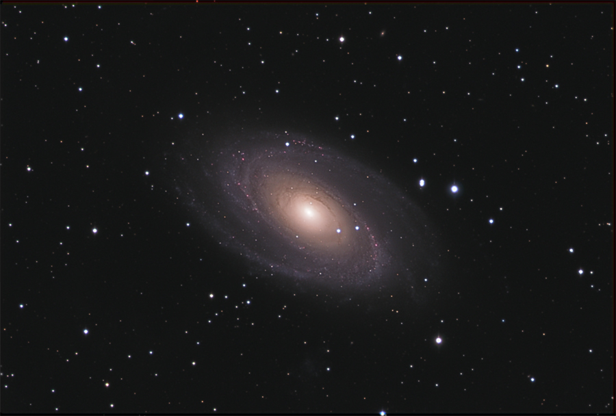 M81