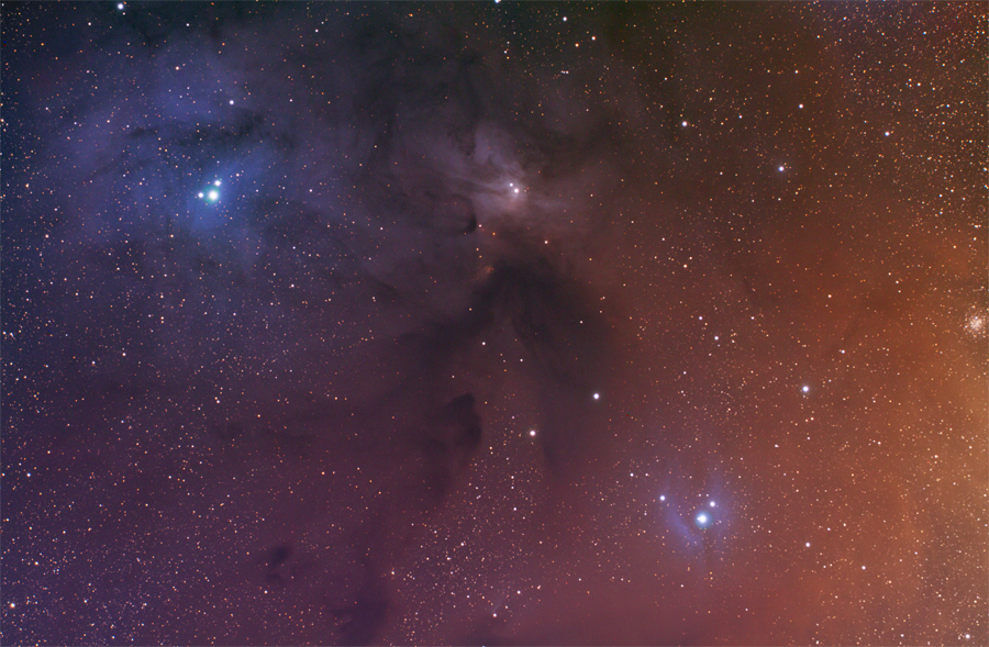 Rho Ophiuchus complex
