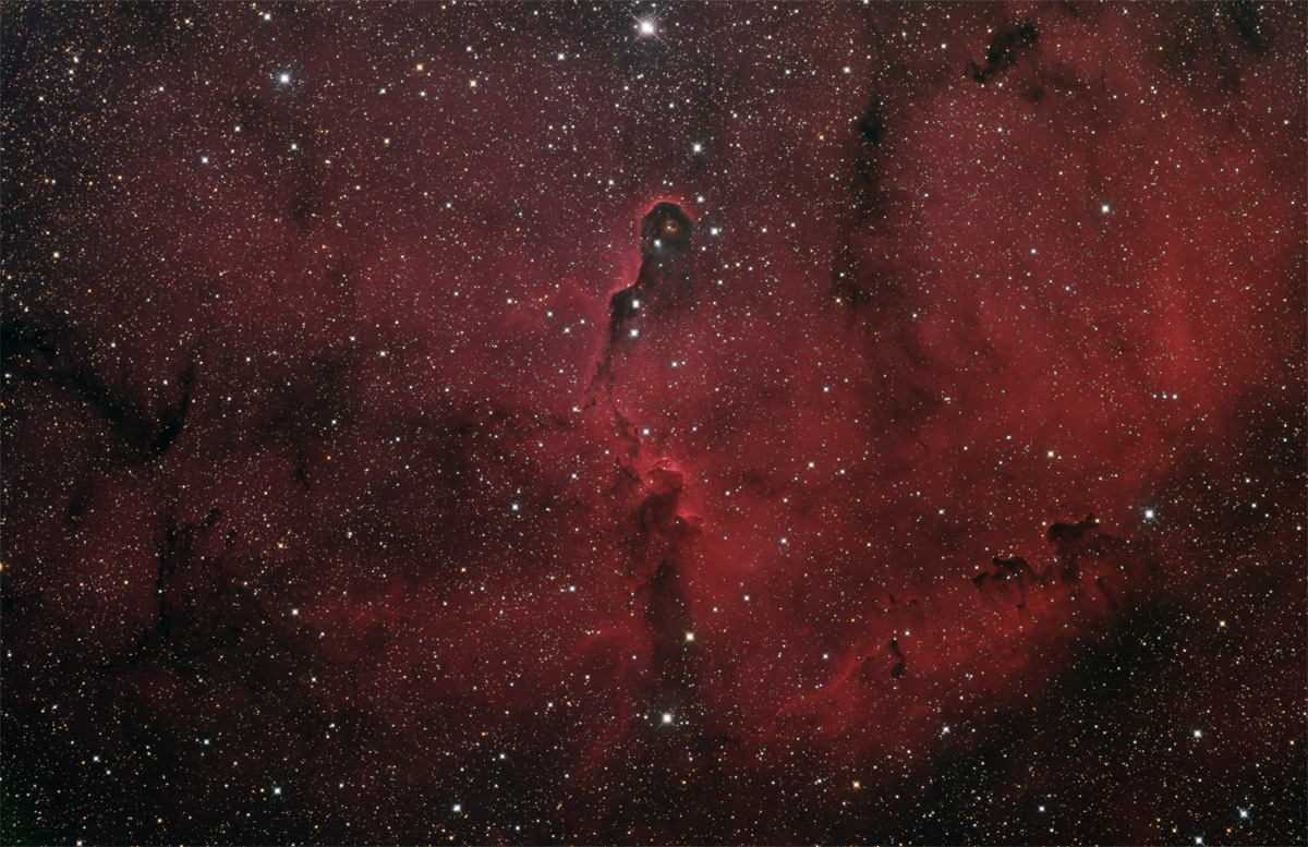 vdB142 in IC1396