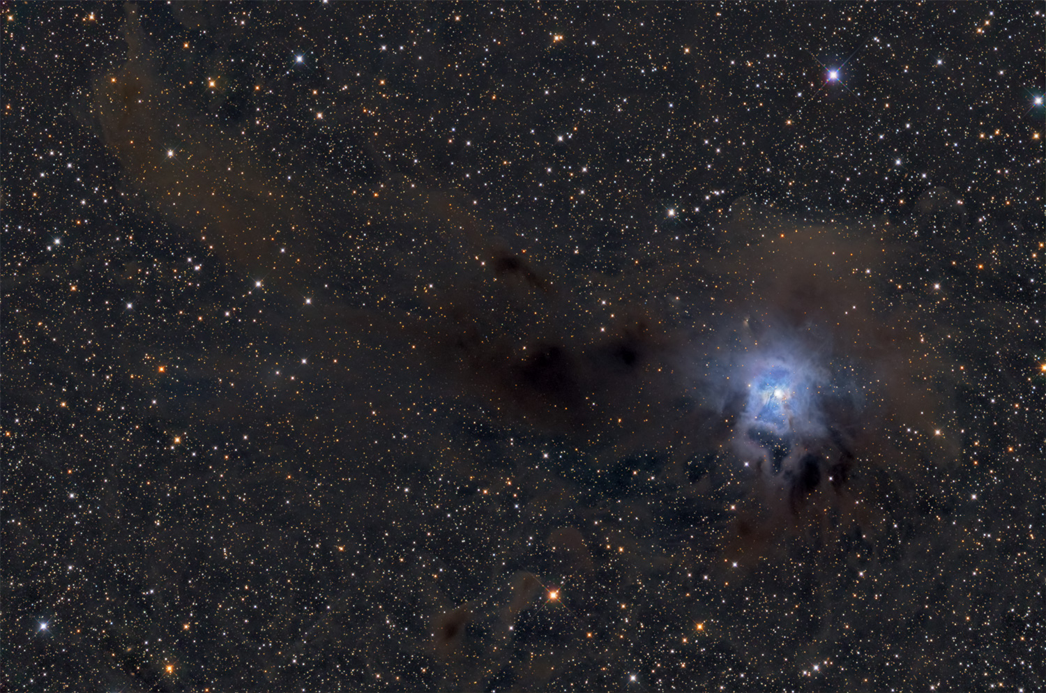 NGC7023