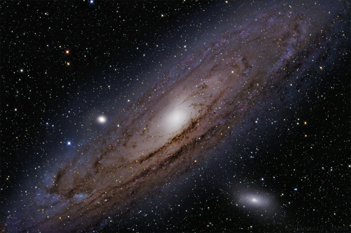 M31