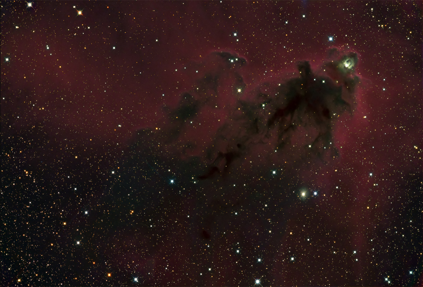 LDN1622 - The Dancing Dolphin Nebula