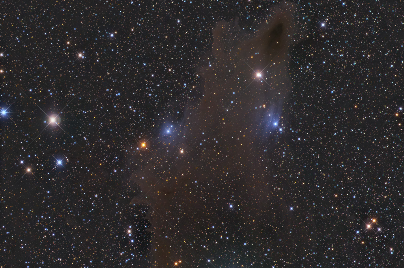 vdB149 and 150, LDN1235