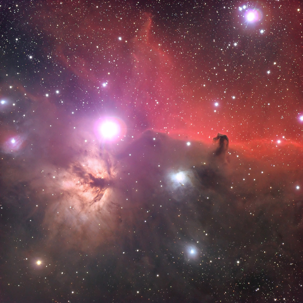 IC434,NGC2024
