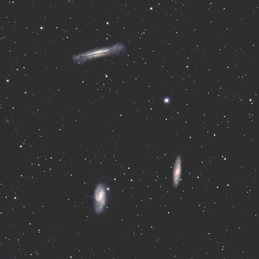 M65,M66,NGC3628