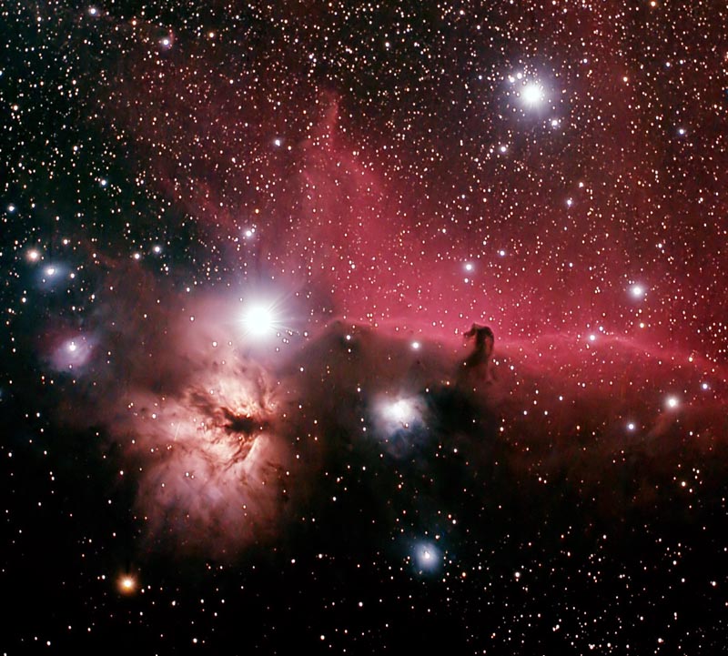Horsehead and region with asteroid 439 ohio