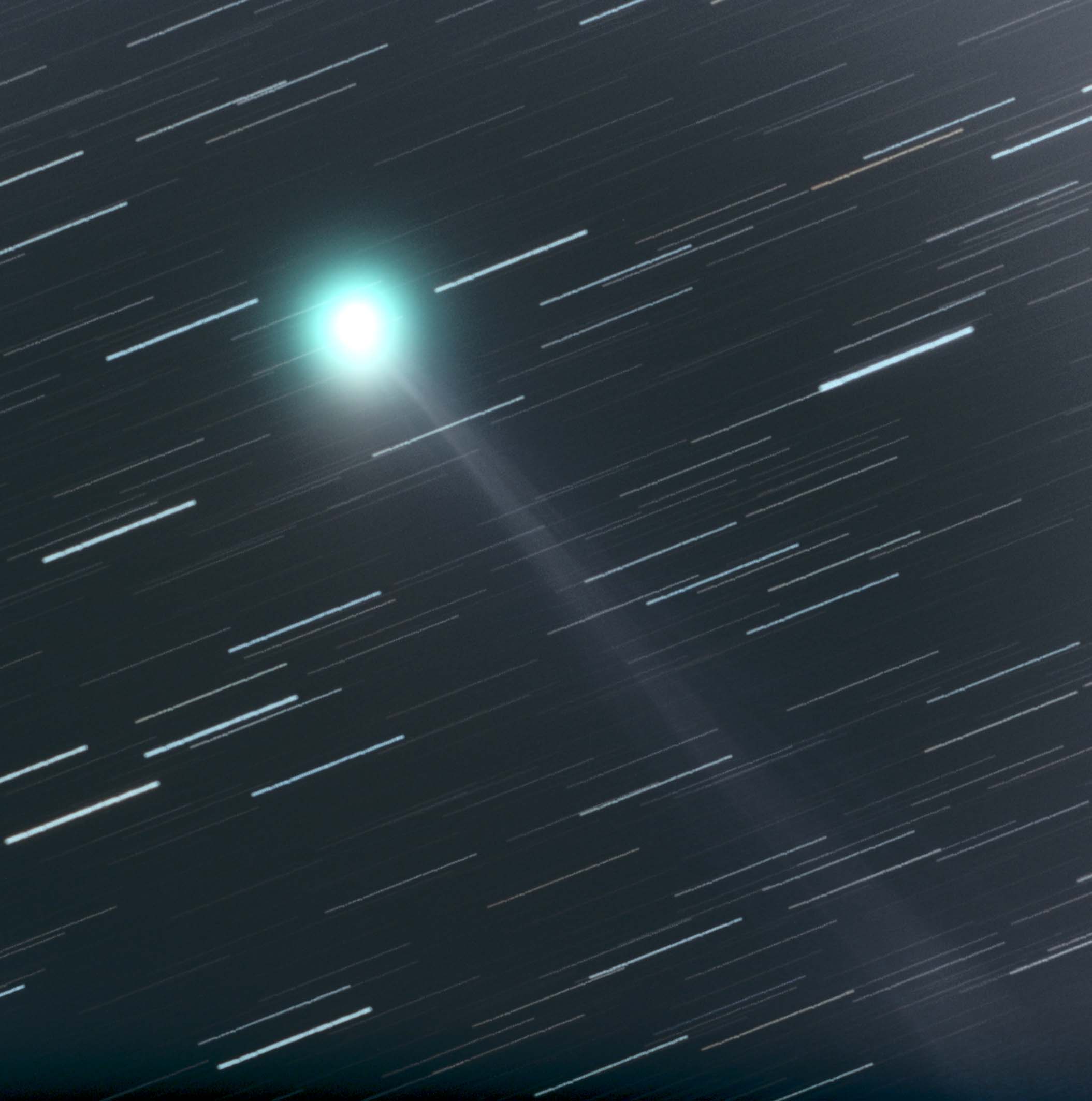 Comet Swan