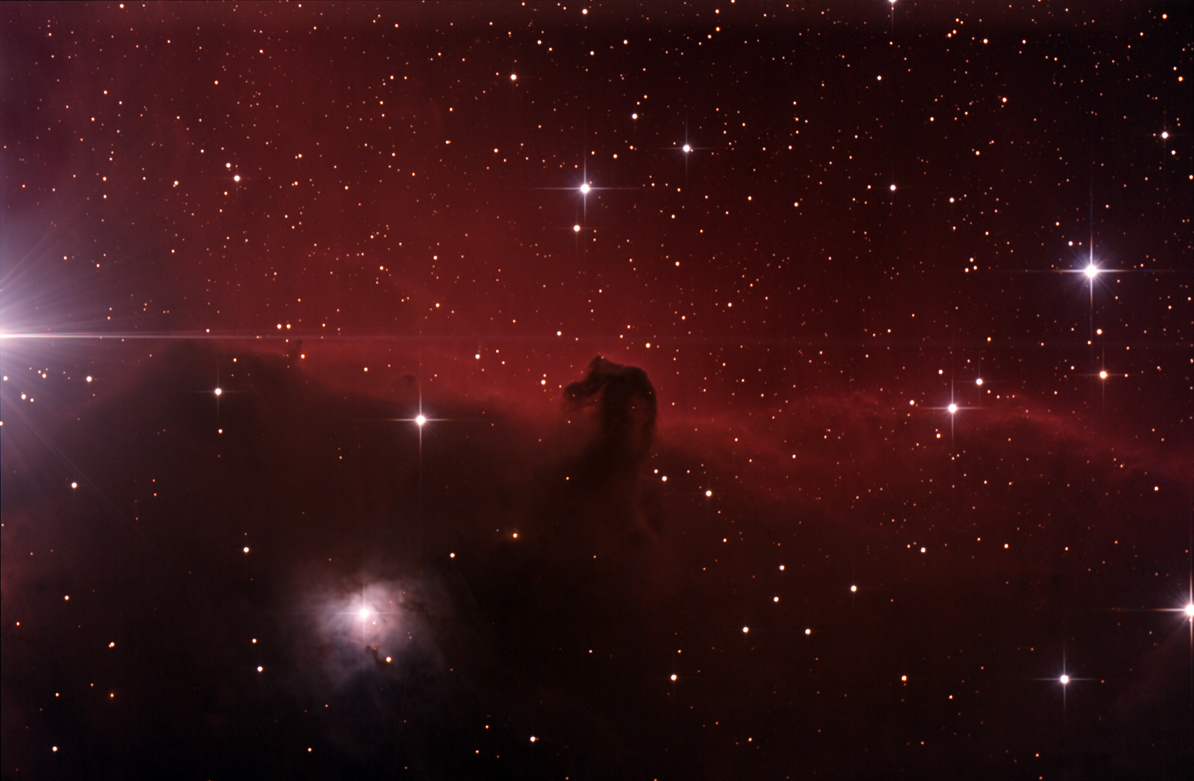 Horses Head