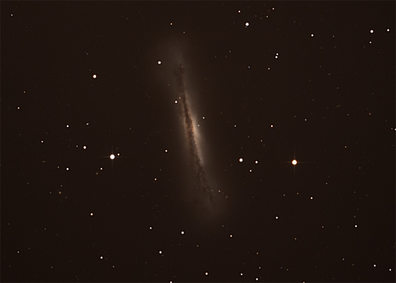 Hamburger Galaxy Leo Treo