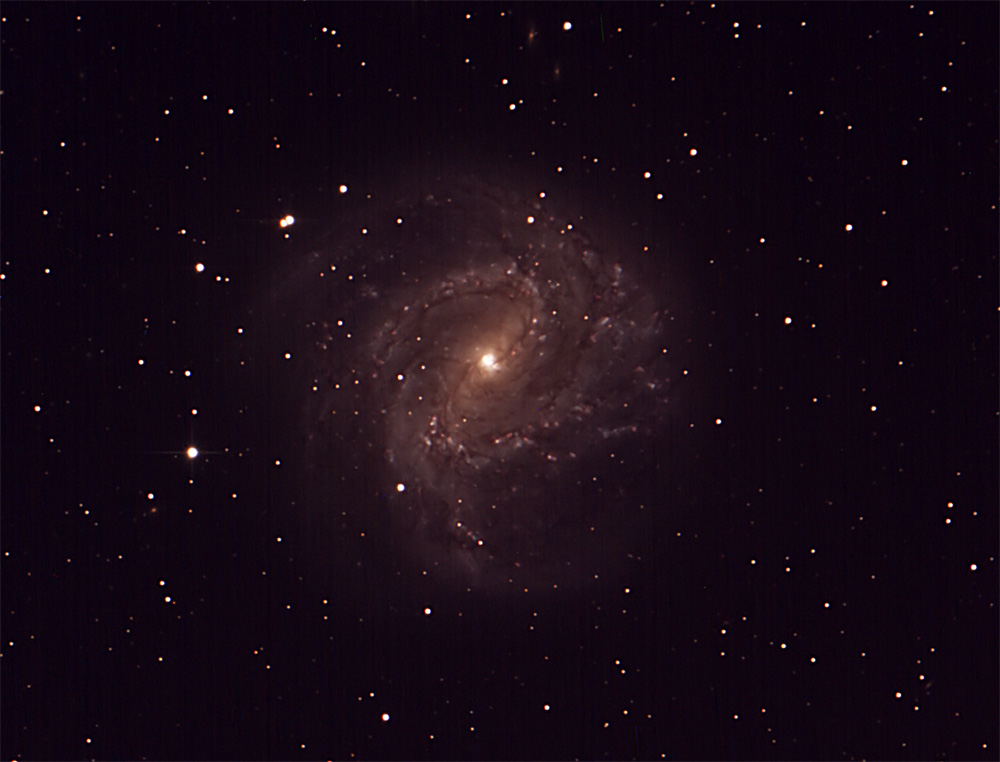 M83