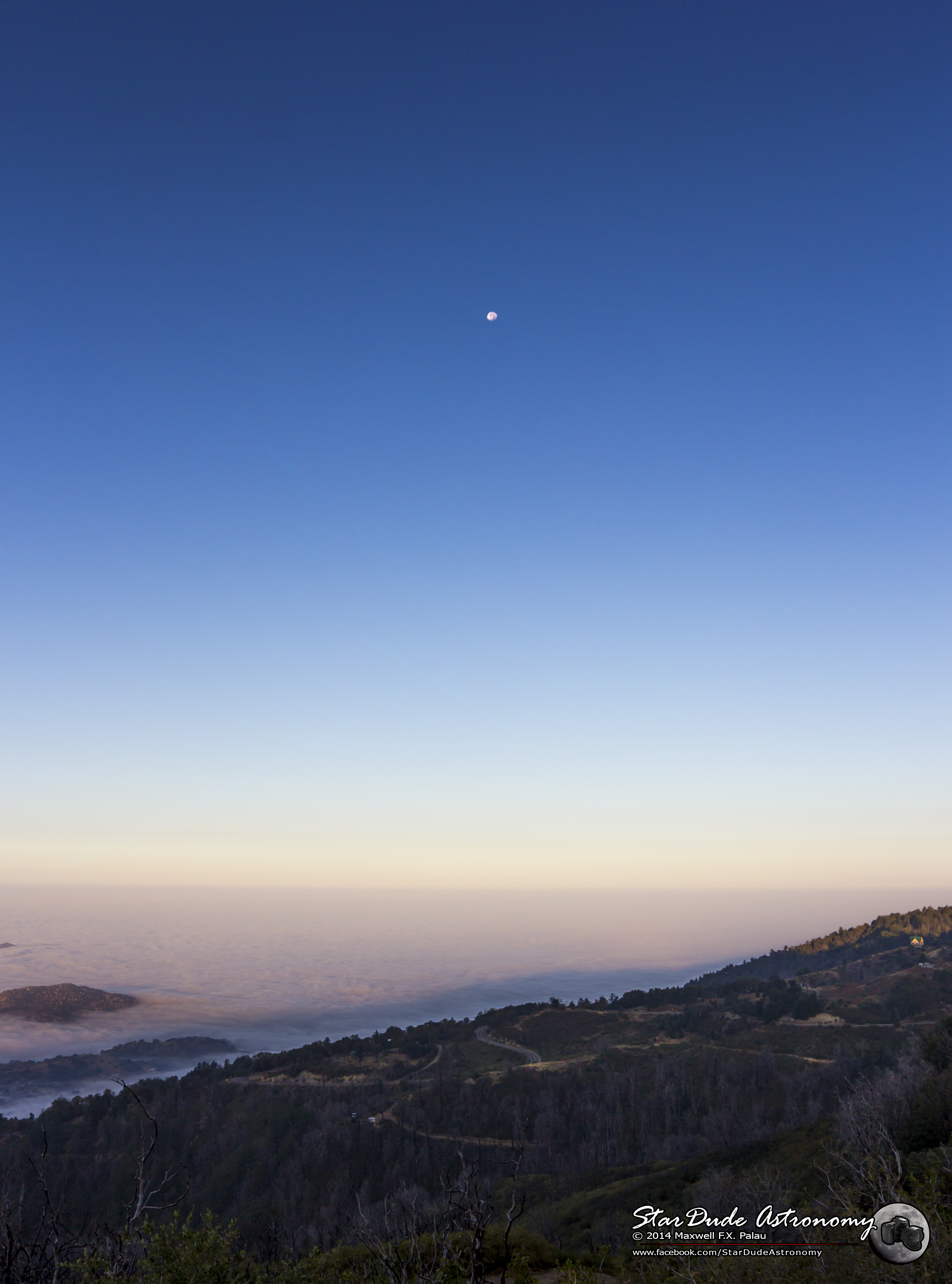 Palomar Moon