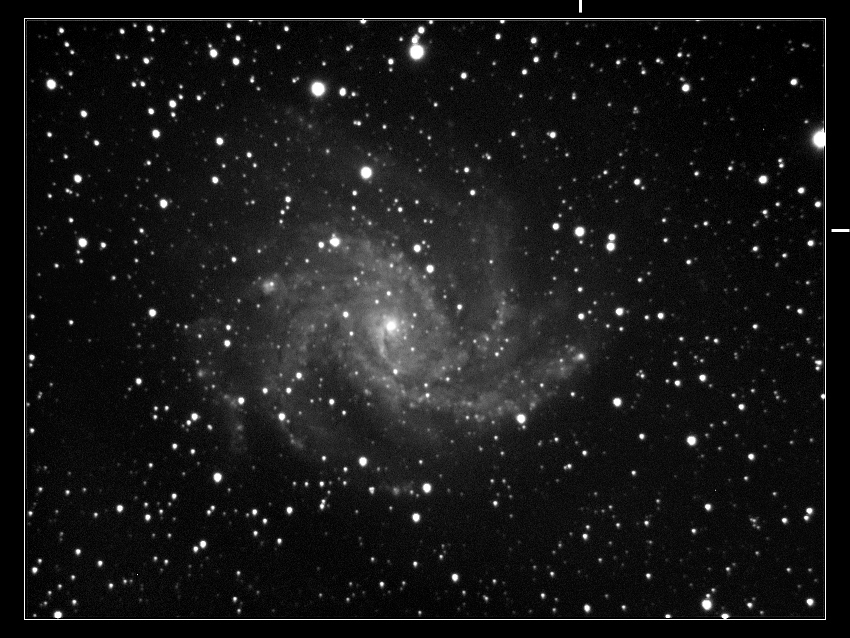 NGC6946 + SN2004et