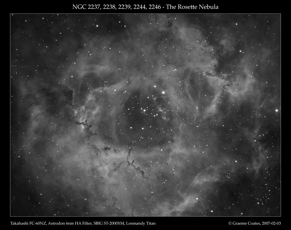 Rosette in HA