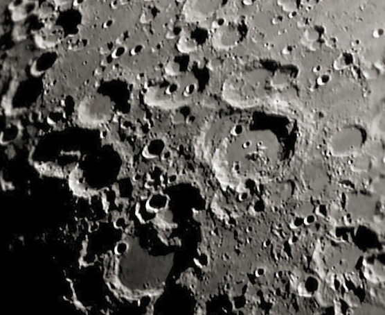 Maurolycus