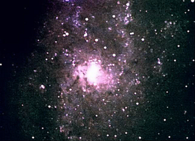 M33