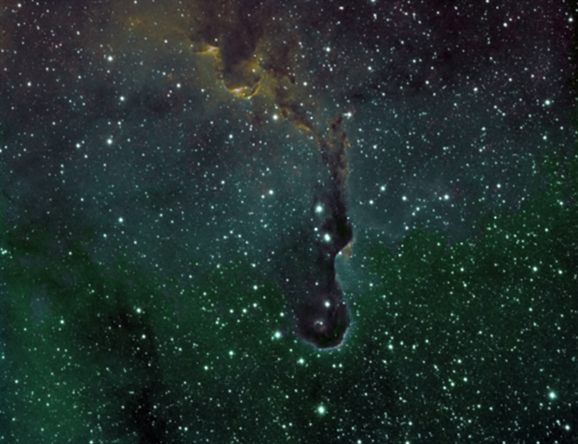 IC1396 Elepant Trunk image