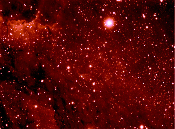 Pelican nebula, HII-region in Cygnus ( IC5070 ) image