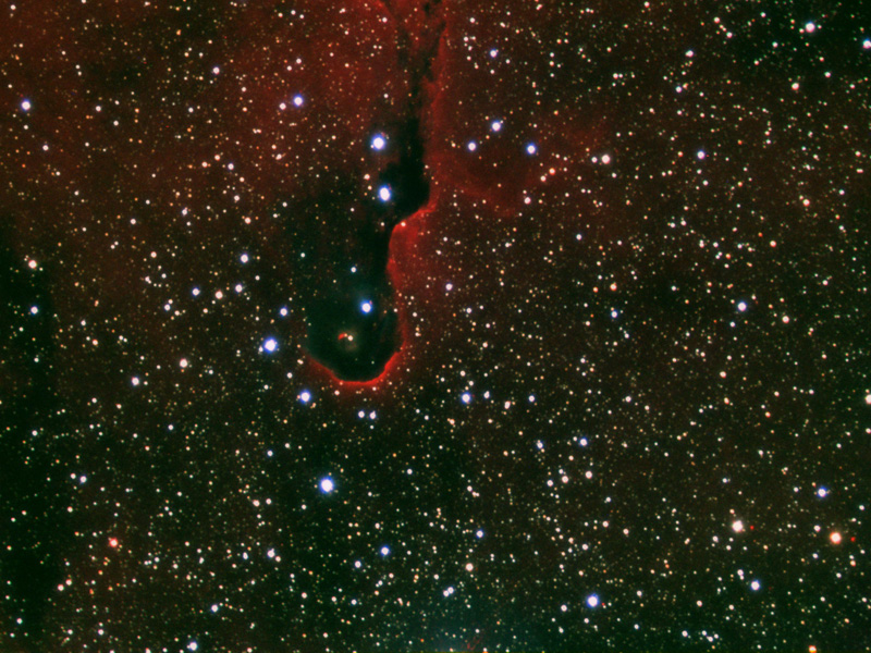 IC 1396 image