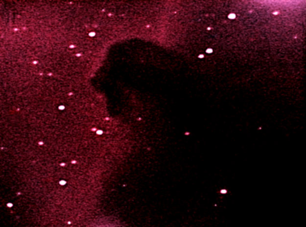 Horsehead Nebula